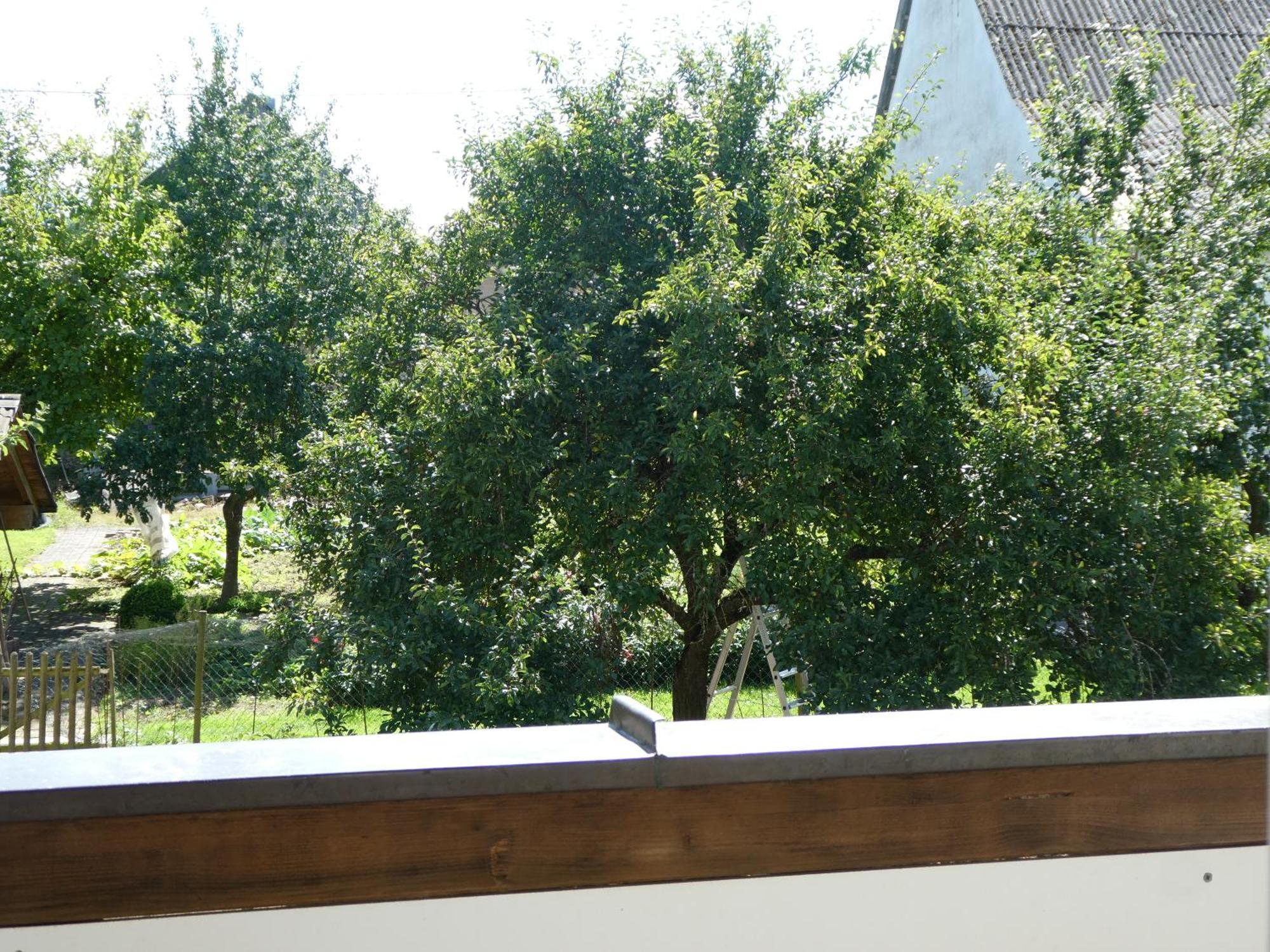 Waldesblick, Hotel-Restaurant Lahr  Esterno foto